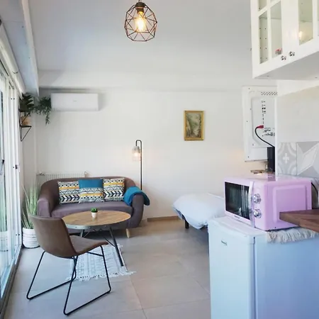 アパート Le Solarias Lumineux Renove Avec Balcon /clim ル·カネ