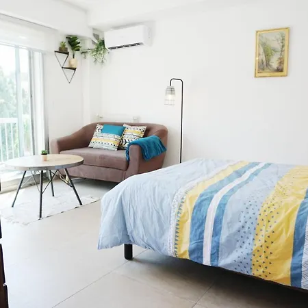 Le Solarias Lumineux Renove Avec Balcon /clim Le Cannet